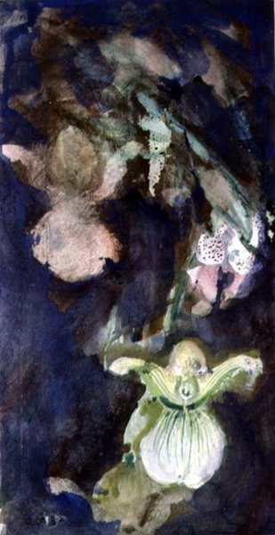 Slipper Orchids by Lily Blatherwick